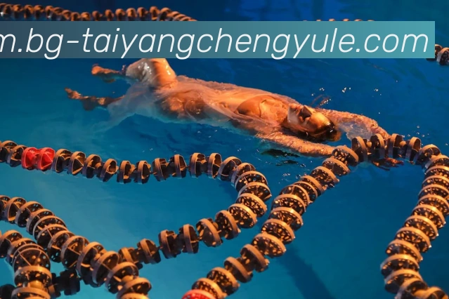 太阳城娱乐品牌故事