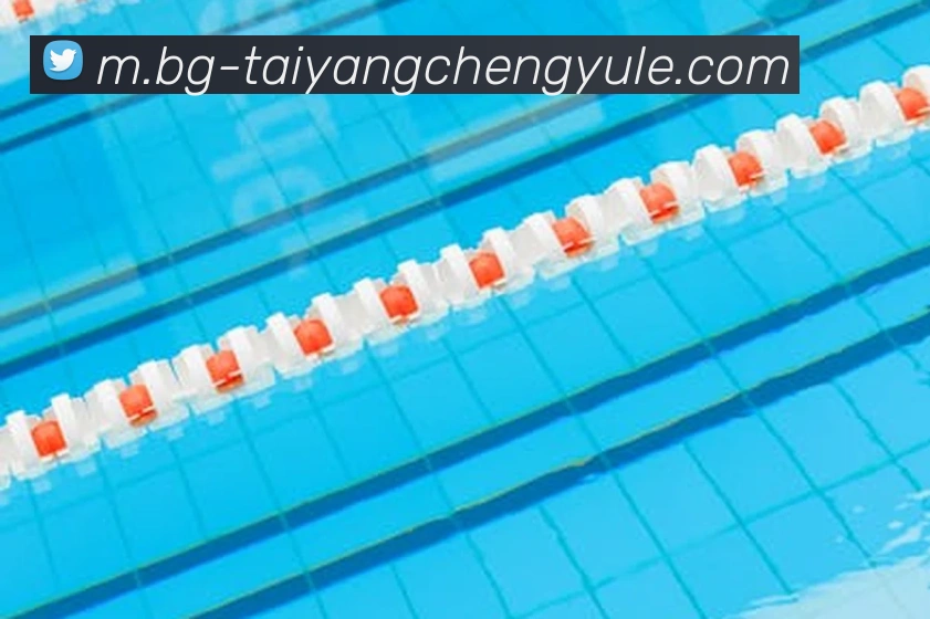 太阳城娱乐服务体系